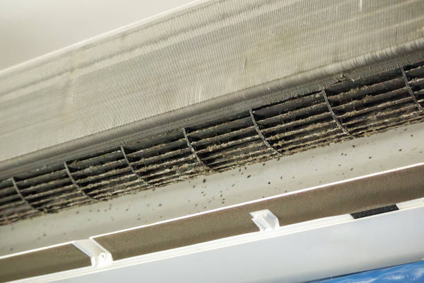 Best HVAC Duct Inspection Services  in Hines, OR
